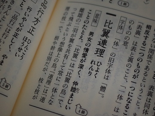 ❎追加画像❎【美品・良品】漢検に合格する四字熟語 : スイスイ暗記・級別構成辞典 - 参考書